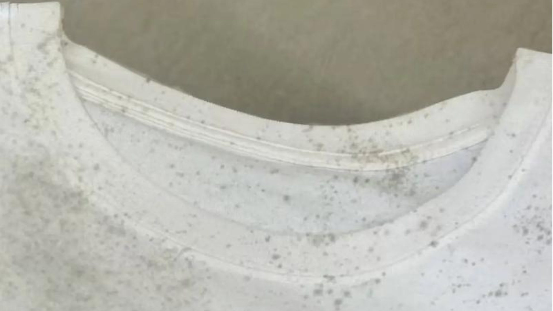 moldy clothes drying